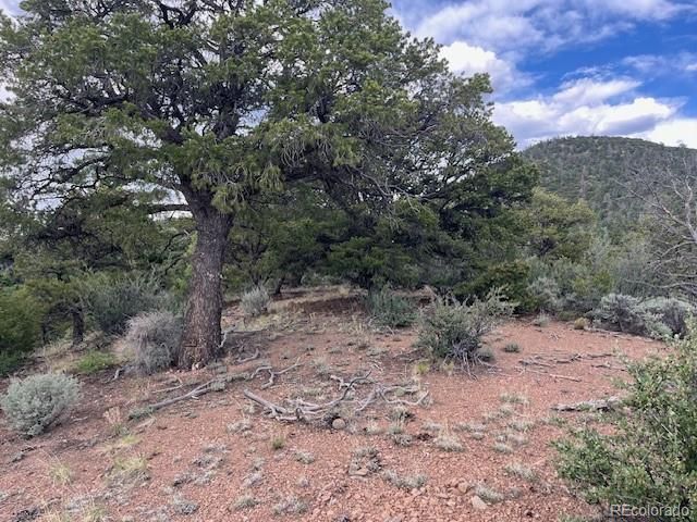 Lot 5056 France Aimee Road, Fort Garland, CO 81133