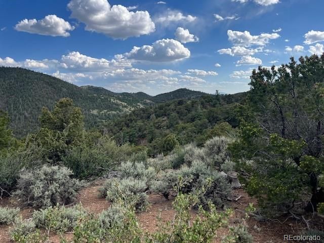 Lot 5056 France Aimee Road, Fort Garland, CO 81133