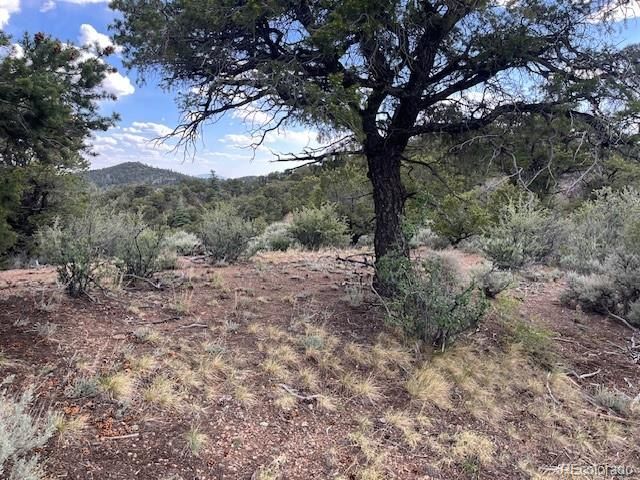 Lot 5056 France Aimee Road, Fort Garland, CO 81133