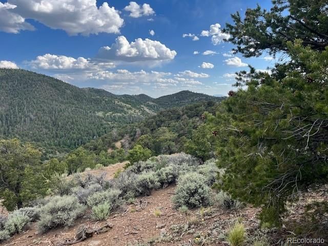 Lot 5056 France Aimee Road, Fort Garland, CO 81133