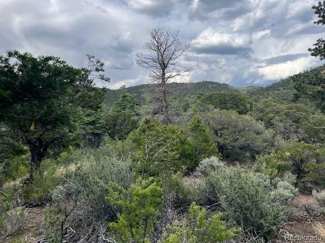 Lot 5056 France Aimee Road, Fort Garland, CO 81133