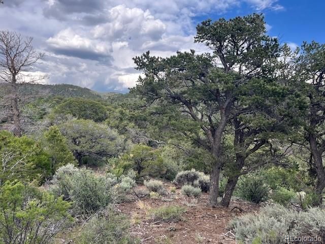 Lot 5056 France Aimee Road, Fort Garland, CO 81133