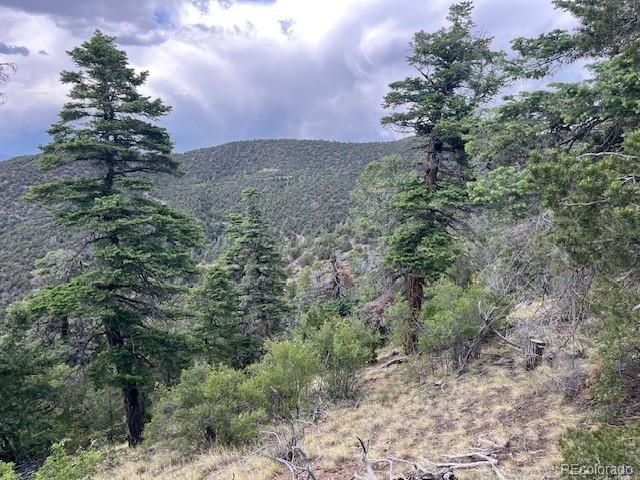 Lot 5056 France Aimee Road, Fort Garland, CO 81133