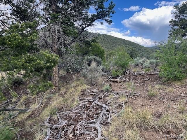 Lot 5056 France Aimee Road, Fort Garland, CO 81133