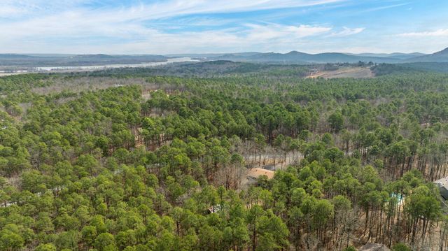 20314 Lake Vista Drive, Roland, AR 72135