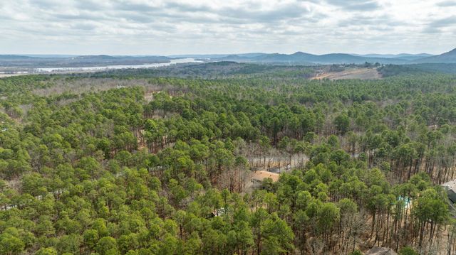 20314 Lake Vista Drive, Roland, AR 72135