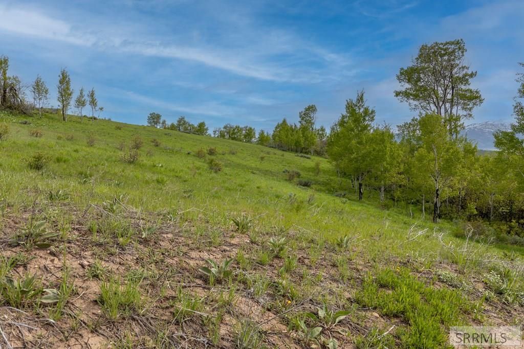 Image 14 of property listing at 0000 Grouse Creek Loop, Freedom, WY 83120