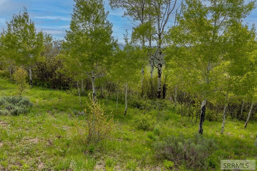 Image 15 of property listing at 0000 Grouse Creek Loop, Freedom, WY 83120