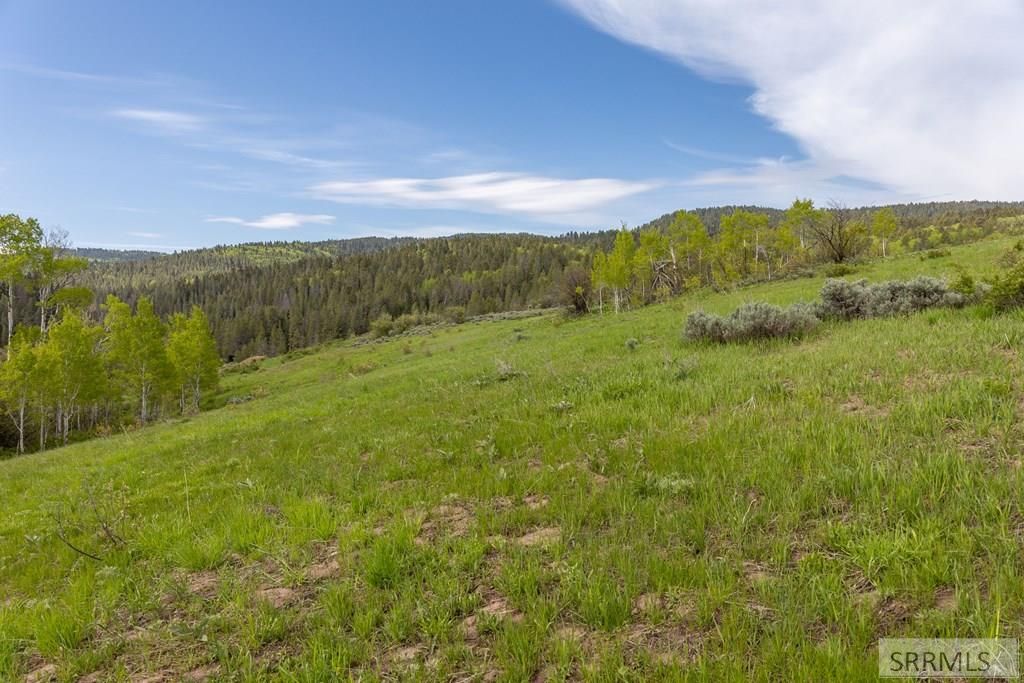 Image 5 of property listing at 0000 Grouse Creek Loop, Freedom, WY 83120