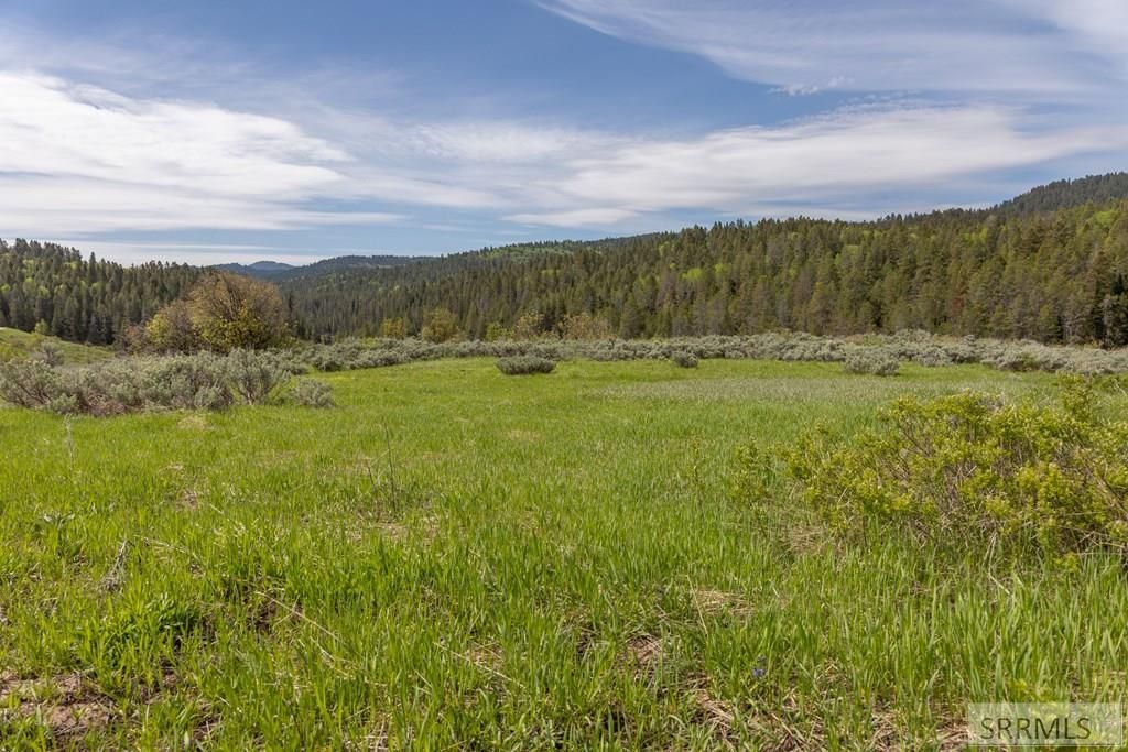 Image 9 of property listing at 0000 Grouse Creek Loop, Freedom, WY 83120