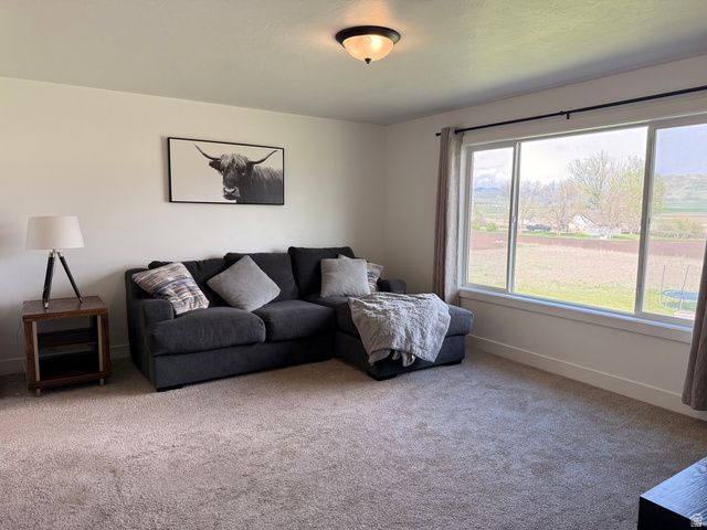 3607 S PARKINSON RD, Franklin, ID 83237