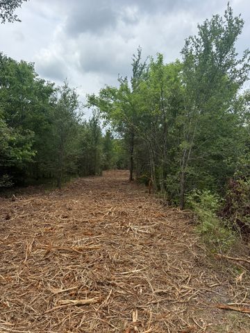 TBD 10 McKnight, Ferris, TX 75125