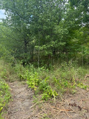 TBD 10 McKnight, Ferris, TX 75125