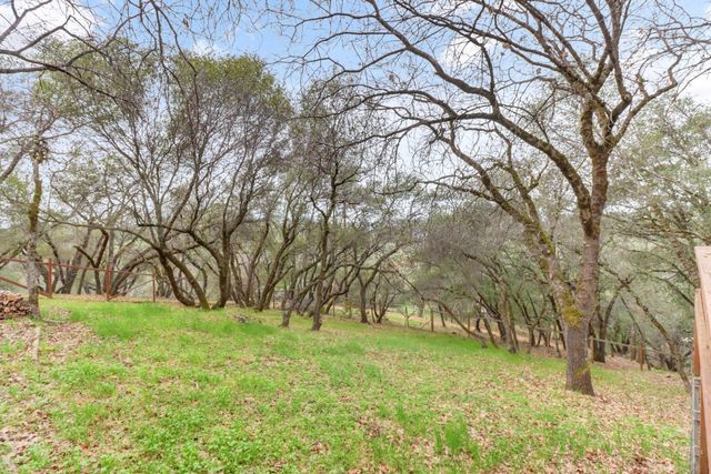 2066 Bogus Point Ct, Cool, CA 95614