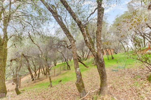 2066 Bogus Point Ct, Cool, CA 95614