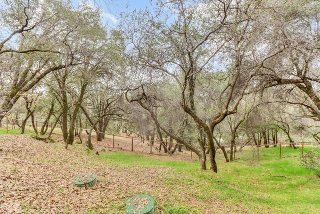 2066 Bogus Point Ct, Cool, CA 95614