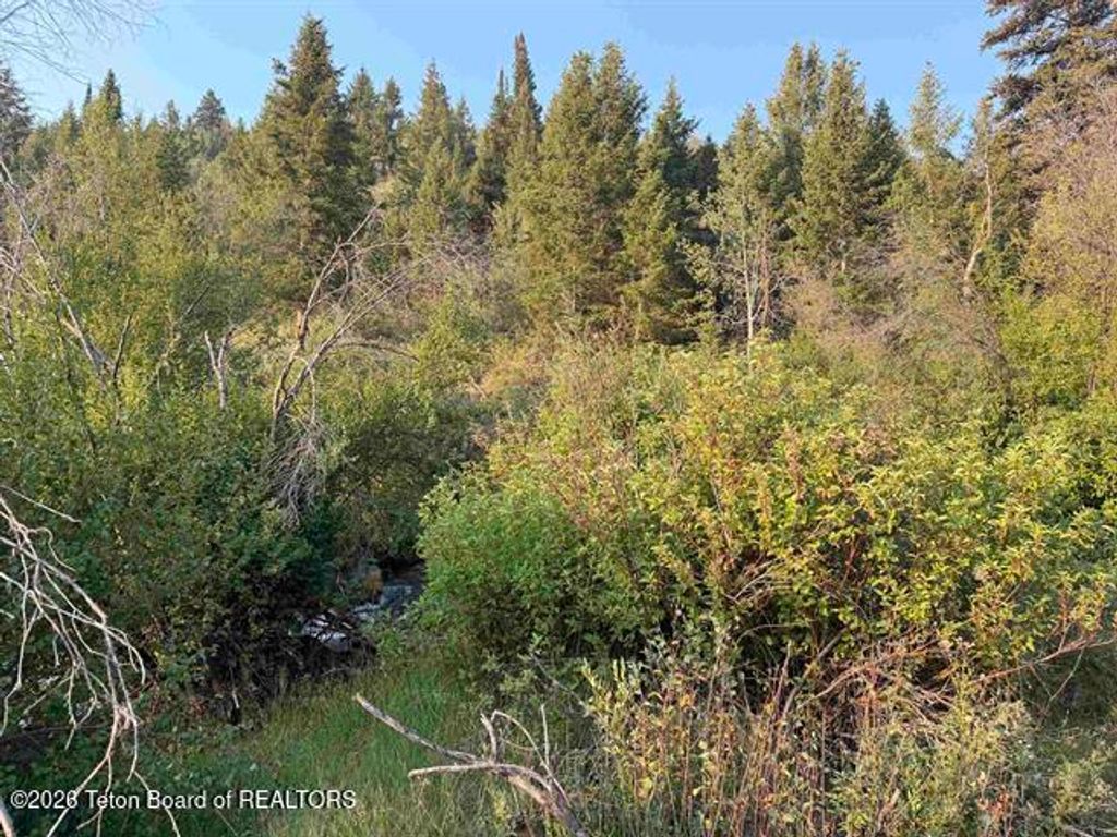 LOT 1 BLOOMINGTON CANYON Road, Paris, ID 83261 photo 3