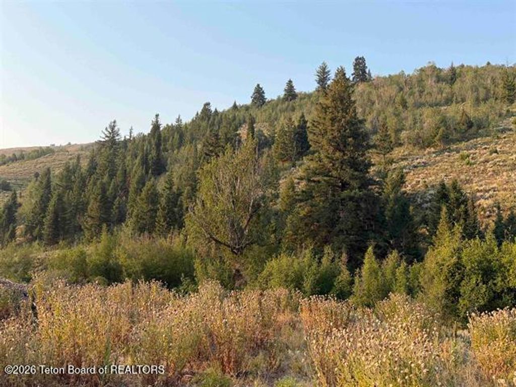 LOT 1 BLOOMINGTON CANYON Road, Paris, ID 83261 photo 5