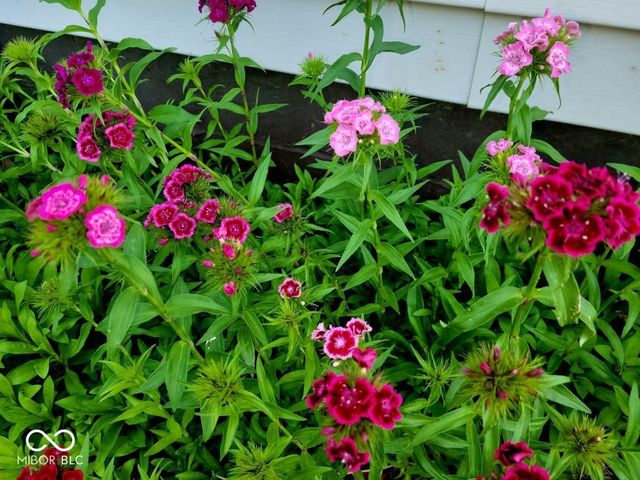 684 E Bonebrake Road, Veedersburg, IN 47987