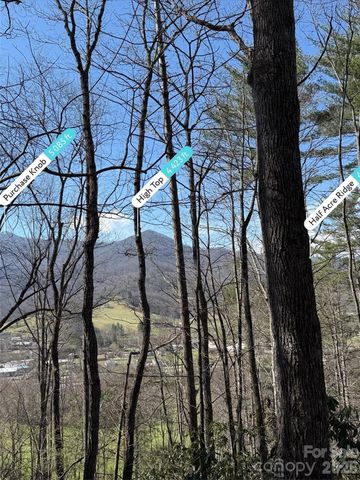 204 Minerva Drive 11, Waynesville, NC 28785