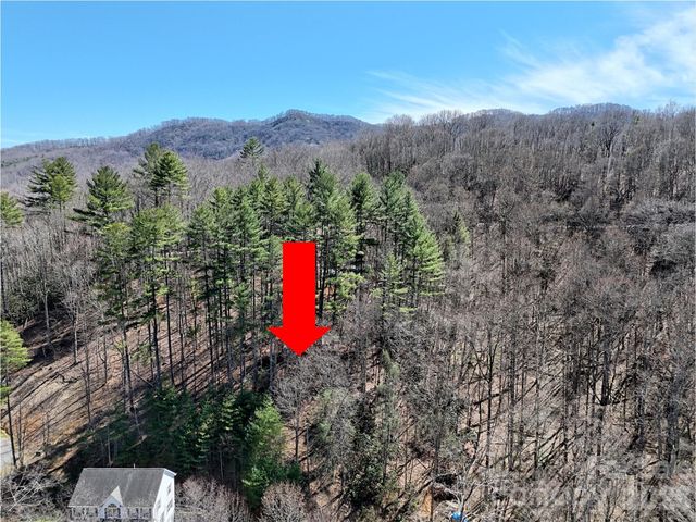 204 Minerva Drive 11, Waynesville, NC 28785