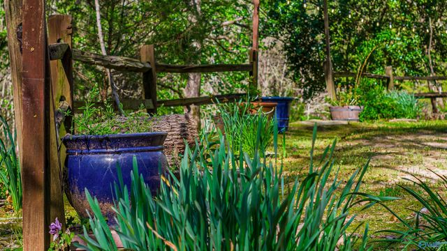 3851 Hixon Road, Fort Payne, AL 35967