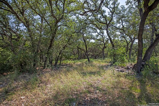 13931 Old Scenic Loop Rd, Helotes, TX 78023