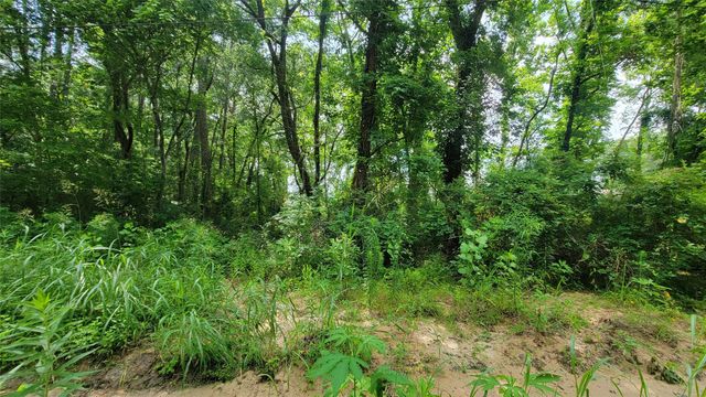 29,30,31,32 Eddie Martin Drive, Livingston, TX 77351