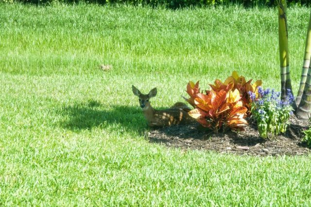 27064 SW Viterbo Way, Port St. Lucie, Port St Lucie, FL 34986