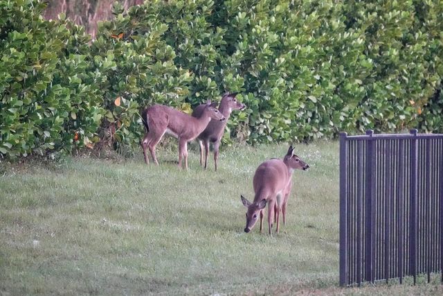 27064 SW Viterbo Way, Port St. Lucie, Port St Lucie, FL 34986