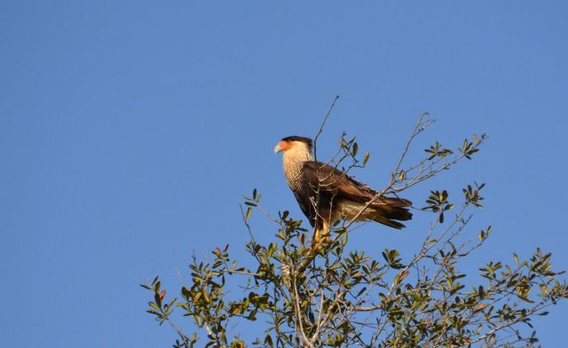 27064 SW Viterbo Way, Port St. Lucie, Port St Lucie, FL 34986