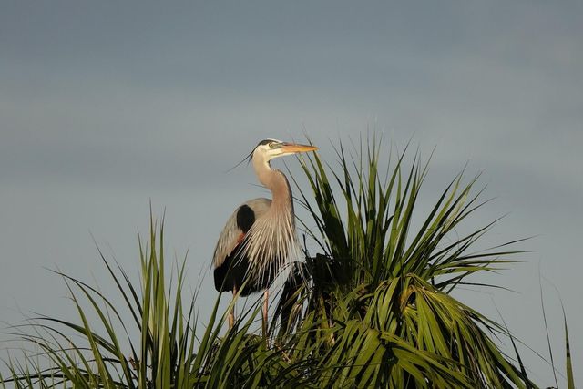 27064 SW Viterbo Way, Port St. Lucie, Port St Lucie, FL 34986