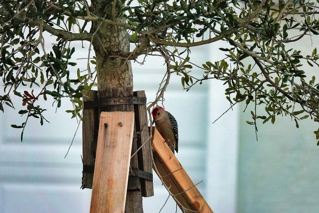 27064 SW Viterbo Way, Port St. Lucie, Port St Lucie, FL 34986