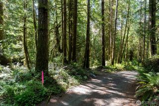 1781 E Sunset Hill Road, Shelton, WA 98584