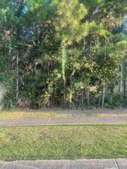 44 Baneberry, Hattiesburg, MS 39402