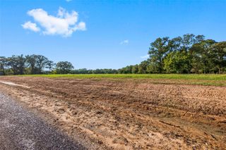 6033 Alans Memorial Lane, New Waverly, TX 77358