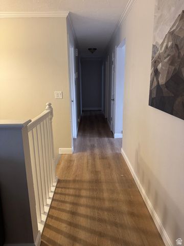 2973 W 14865 S, Bluffdale, UT 84065