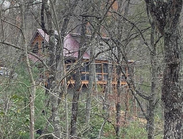 313 Lexington Drive, Brasstown, SC 29802