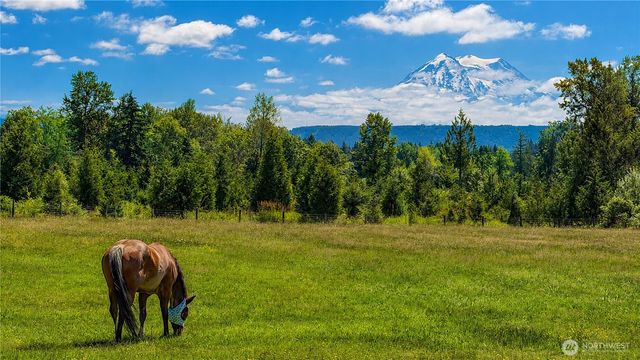 28419 132nd Avenue E, Graham, WA 98338
