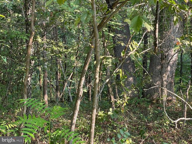 50 TUPELO, Springfield, WV 26763