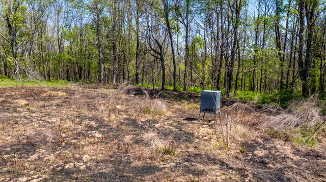 510 Rogues Fork Rd, Bethpage, TN 37022