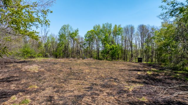 510 Rogues Fork Rd, Bethpage, TN 37022