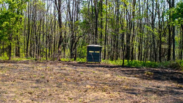 510 Rogues Fork Rd, Bethpage, TN 37022