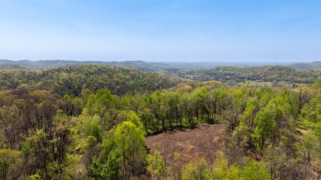 510 Rogues Fork Rd, Bethpage, TN 37022