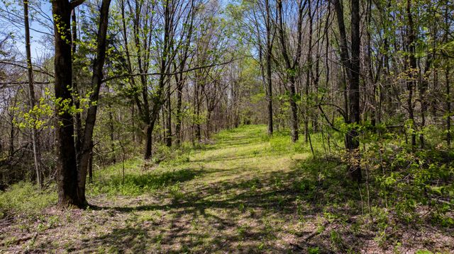510 Rogues Fork Rd, Bethpage, TN 37022