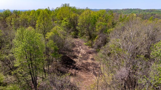 510 Rogues Fork Rd, Bethpage, TN 37022