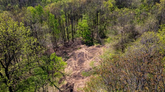 510 Rogues Fork Rd, Bethpage, TN 37022