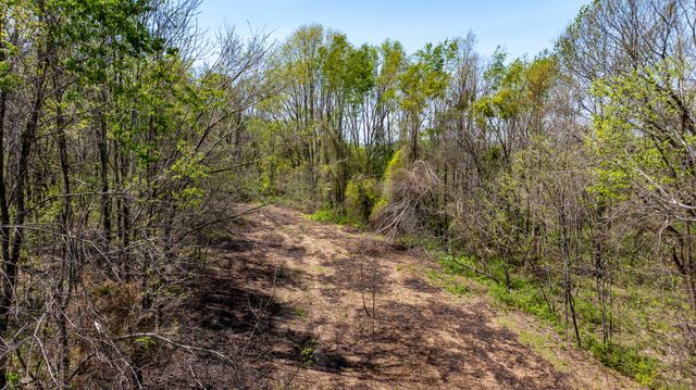 510 Rogues Fork Rd, Bethpage, TN 37022
