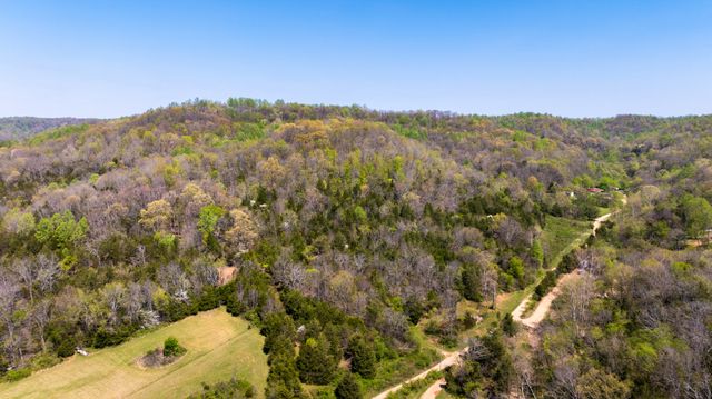 510 Rogues Fork Rd, Bethpage, TN 37022
