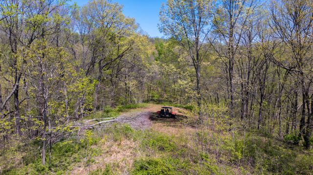 510 Rogues Fork Rd, Bethpage, TN 37022